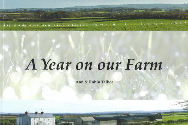 Christmas Books for under the Tree. Cracking Reads for Adults