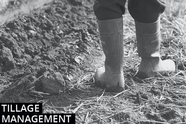 Tillage farming management notes