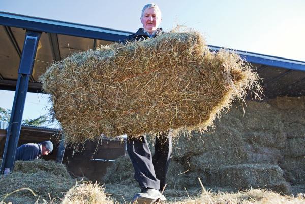 IFA leads €1m fodder fund alliance