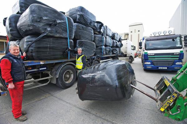 Fodder crisis is far from over