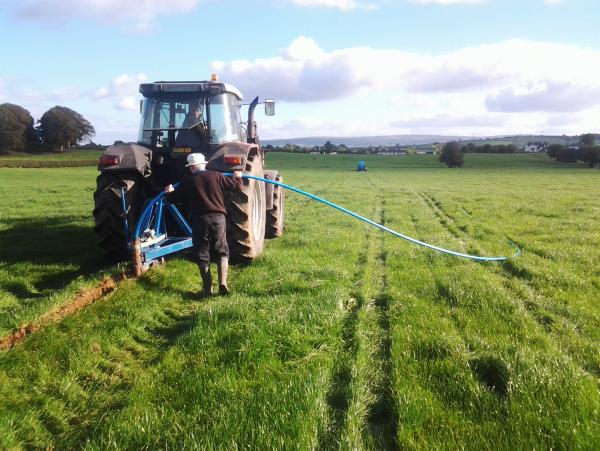 Dairy start-up diary - getting the infrastructure right