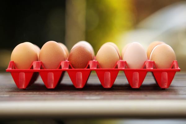 Egg producers seek an increase of 1 cent per egg