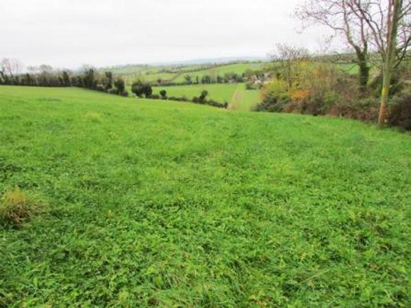 High grass covers at closing due to exceptional weather