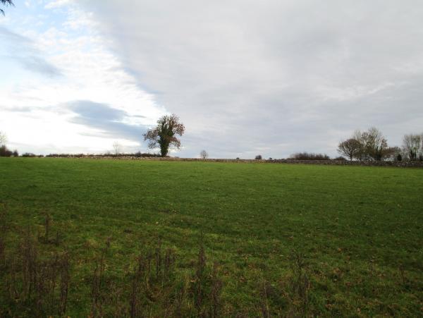 County Roscommon farm new to market