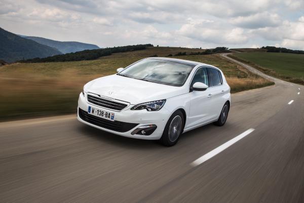 The best  new arrivals
