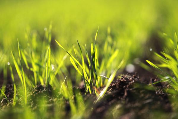 Shared passion, better future: Sowing the seeds of change in Irish farming