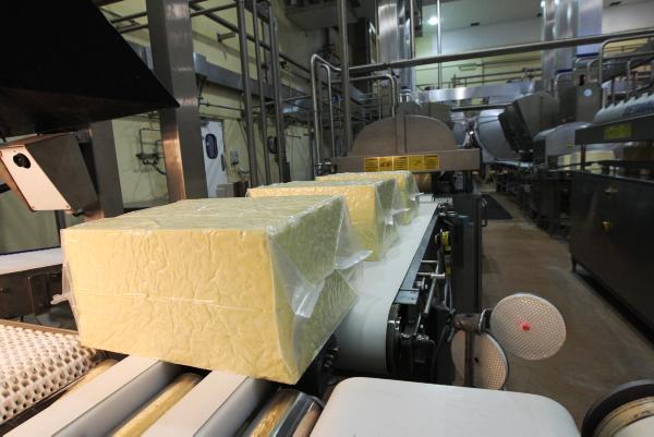 Agri food sector needs states supports to reach full potential