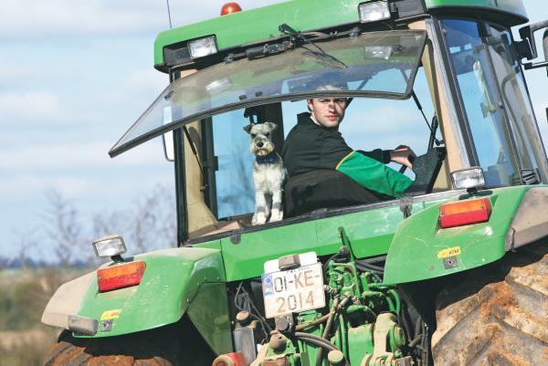 2013: Remembering the year that was through pictures 