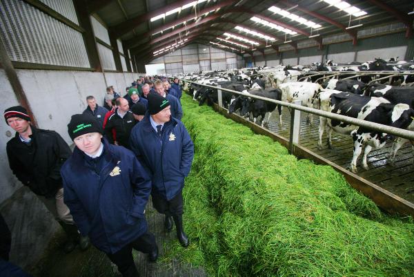 Top 10 videos from FarmersJournal.tv