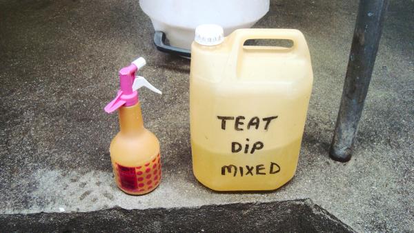 Cost comparison: Prices paid for various milk quality inputs used by farmers