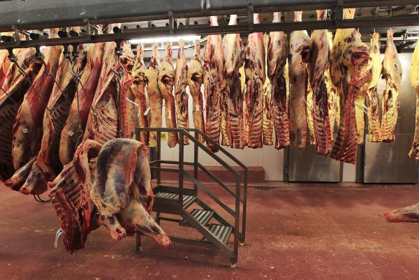 Beef factory prices: New Year fails to insert life into beef trade