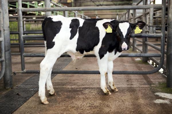 Increased exporter activity anticipated for 2014