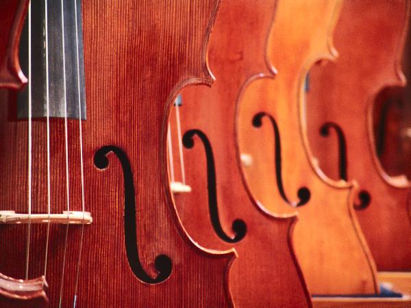 Events: 23-29 January 