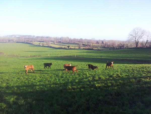 Farmer writes: Visiting young farmers group told to base decisions on facts