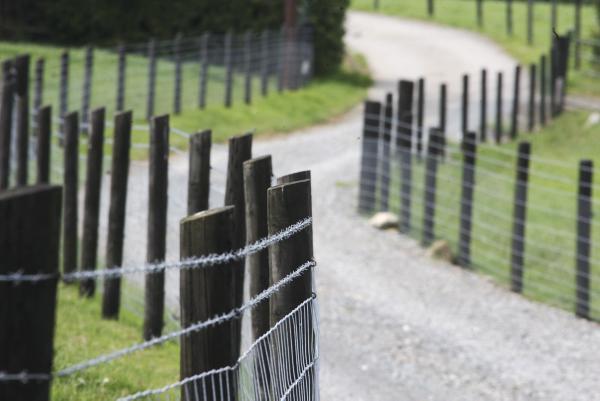 Developments’ share market update