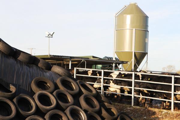 Feed and fertilizer push up variable costs