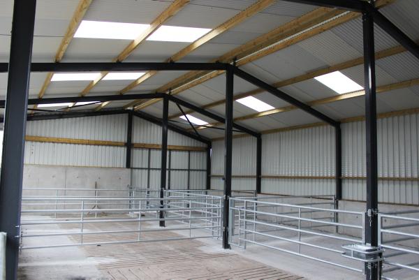 Slat mats installed in new suckler shed