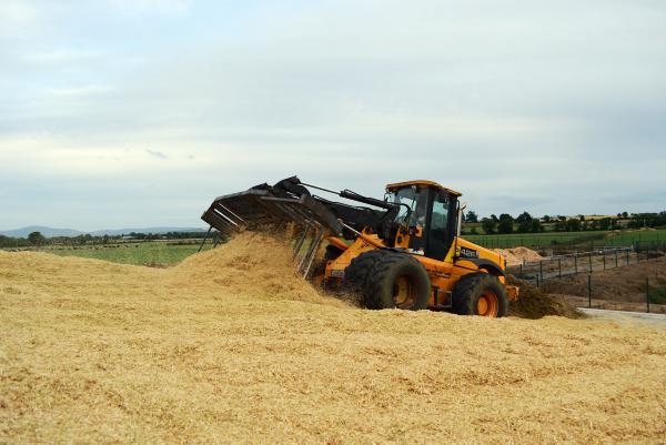 Grasswatch: Late January rains make field work impossible