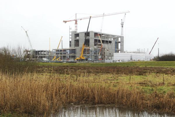 Testing times in the Glanbia boardroom