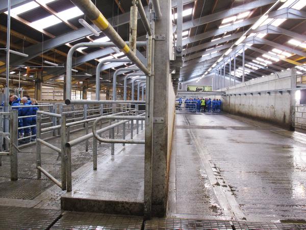 Greenmount College's ‘Dream’ dairy shed