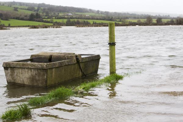 UPDATED: Strong wind and rain to continue 