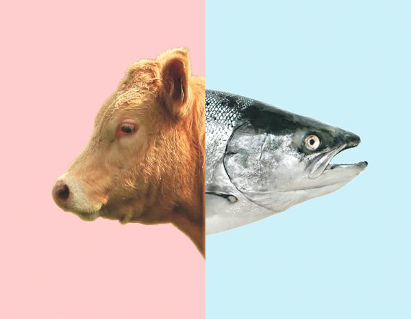 Is Ash Wednesday still a day of fast?   