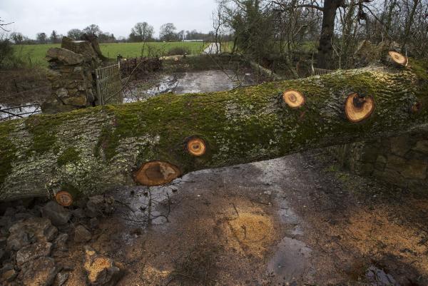 FBD weathering the storm in a challenged market