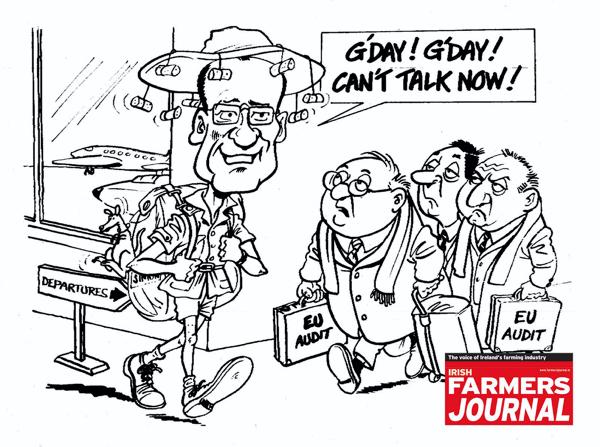 Department spends €5 million on consultancy fees