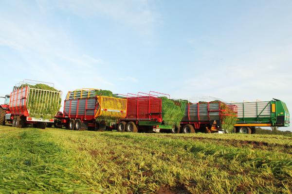 Zero Grazing machine test – Part 2