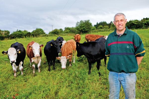 BETTER Farm: 90% of cows calved in under seven weeks in Tipperary