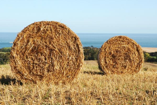 Farming Index: The weekly guide to farming by the numbers