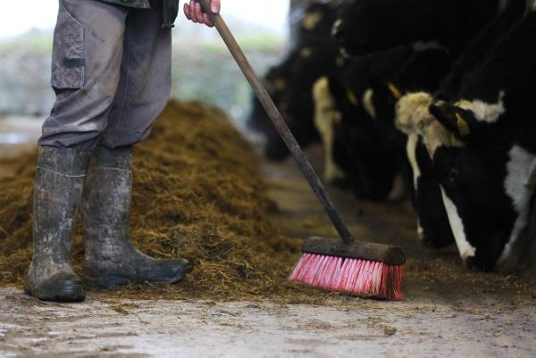 Agri taxation review wish list