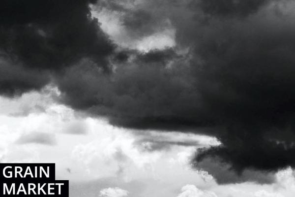 Grain markets: Grain prices remain firm to higher