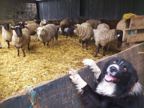 Photo of the week: Caption competition