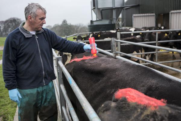 Reminder of basics as breeding season fast approaching