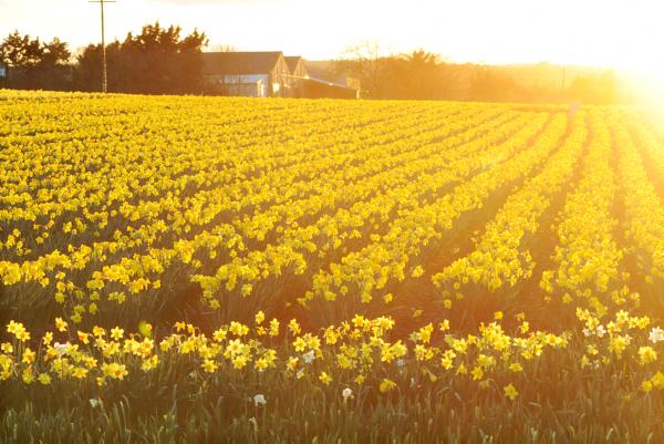 Imen McDonnell: Spring is in the air 