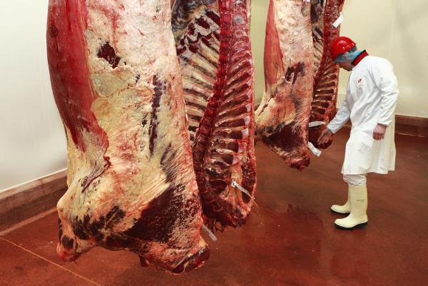 Farmer Writes: Factory woes continue