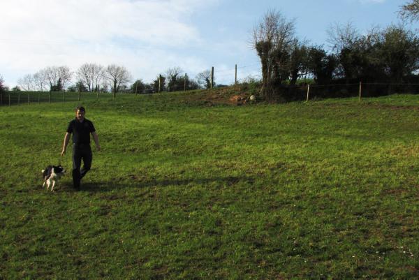 Farmer writes: A mix of AberGain, Aberchoice and Tyrella for re-seeding