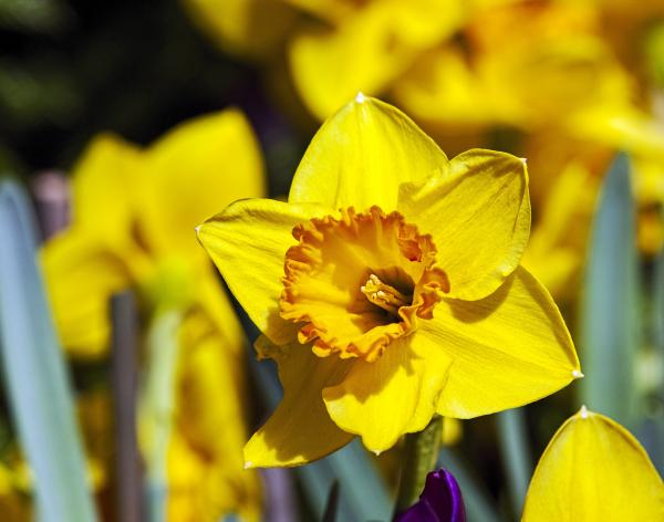 My journey through cancer