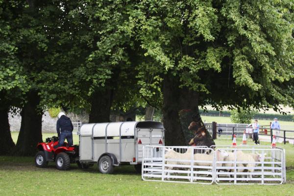 Testing our future sheep farmers