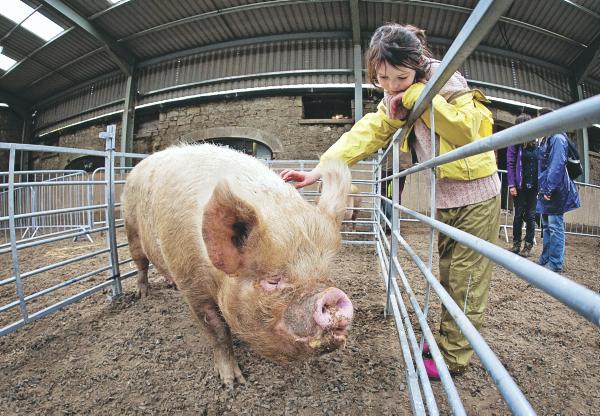In Pictures - A glimpse into farming life around the country this week