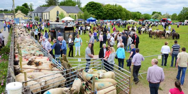 Fun at Athleague Fair June bank holiday weekend