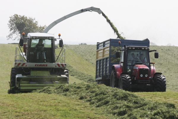 Stay sharp at silage making to cut costs