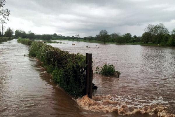 Tyrone farmer loses lambs in flash flooding