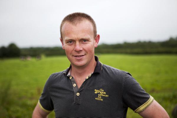 Bulls gaining 1.47kg/day from grass on Limerick BETTER Farm