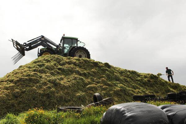 Factories oppose beef contracts 