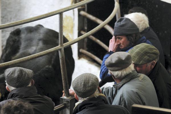 Numbers strong in Clogher and demand steady