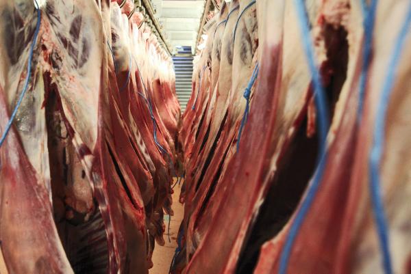 Zambeef announces pre-tax loss for first six months