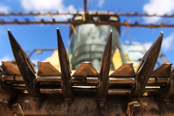 Prices continue to weaken for all grains