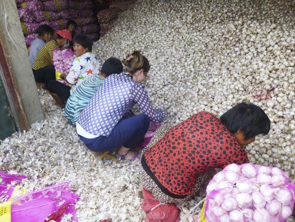 As China becomes more urbanised, who will feed their people?